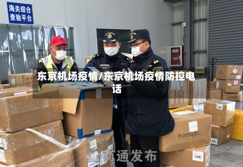 东京机场疫情/东京机场疫情防控电话