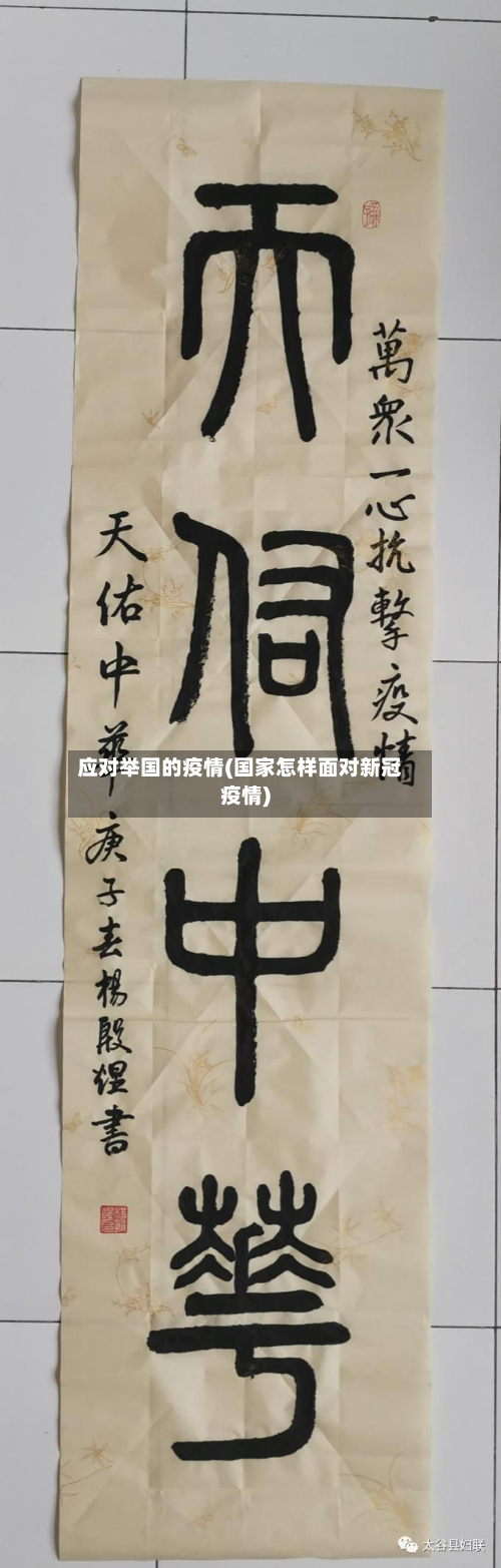 应对举国的疫情(国家怎样面对新冠疫情)-第2张图片