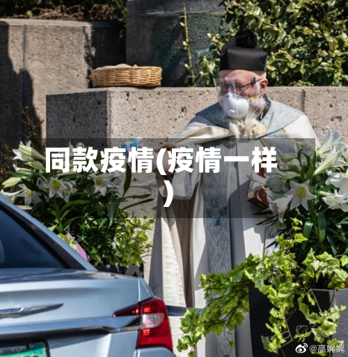 同款疫情(疫情一样)