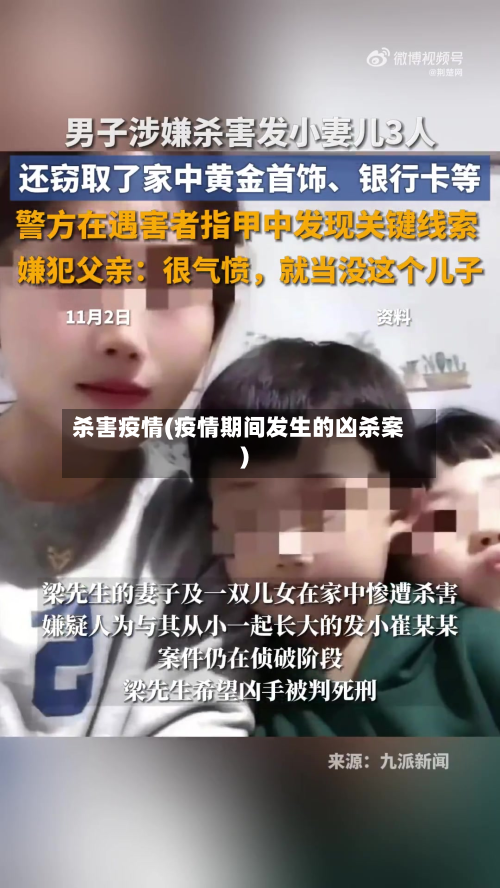 杀害疫情(疫情期间发生的凶杀案)