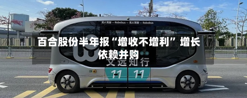 百合股份半年报“增收不增利” 增长依赖并购-第2张图片