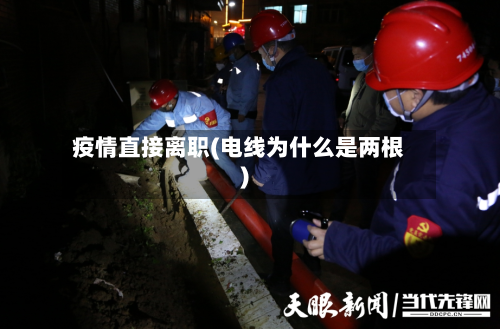 疫情直接离职(电线为什么是两根)