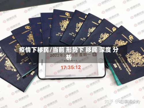 疫情下移民/当前 形势下 移民 深度 分析-第2张图片