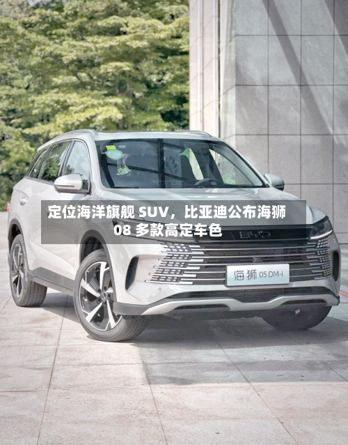 定位海洋旗舰 SUV，比亚迪公布海狮 08 多款高定车色-第2张图片
