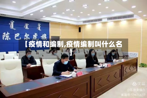 【疫情和编制,疫情编制叫什么名】-第3张图片