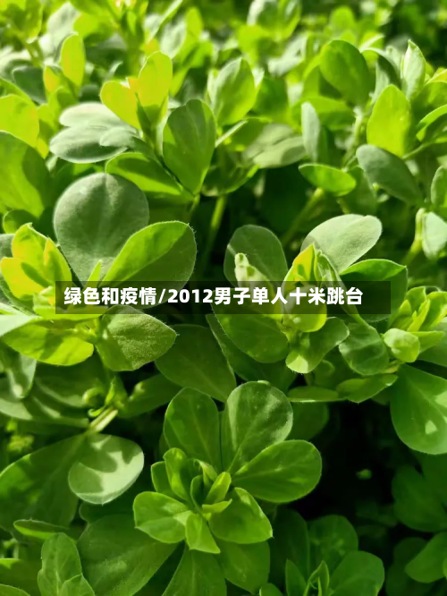 绿色和疫情/2012男子单人十米跳台