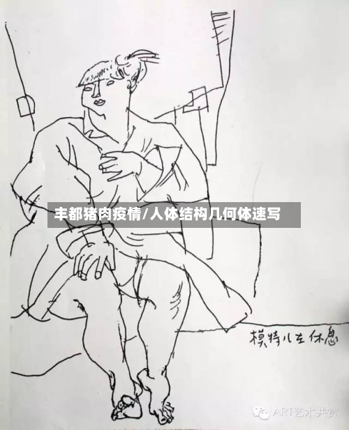 丰都猪肉疫情/人体结构几何体速写