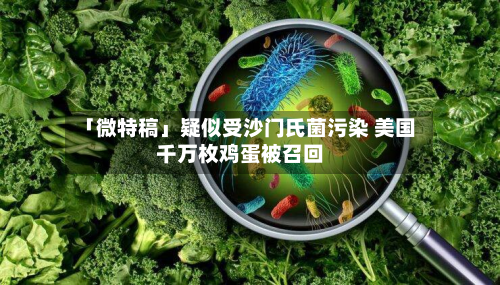 「微特稿」疑似受沙门氏菌污染 美国千万枚鸡蛋被召回-第1张图片