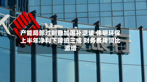 产能局部过剩叠加国补退坡 伟明环保上半年净利下降逾三成 财务费用同比激增-第1张图片