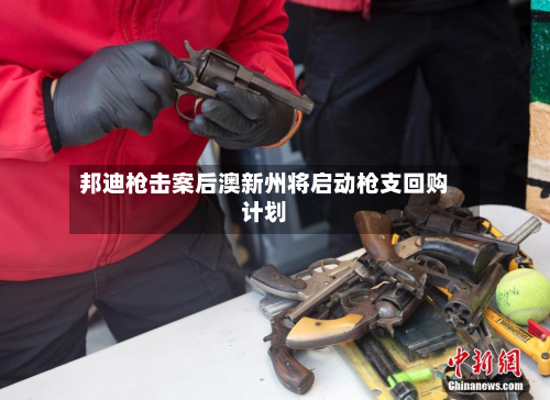 邦迪枪击案后澳新州将启动枪支回购计划-第2张图片