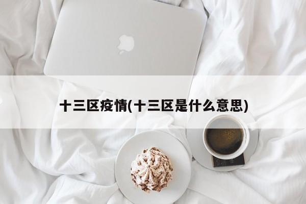 十三区疫情(十三区是什么意思)