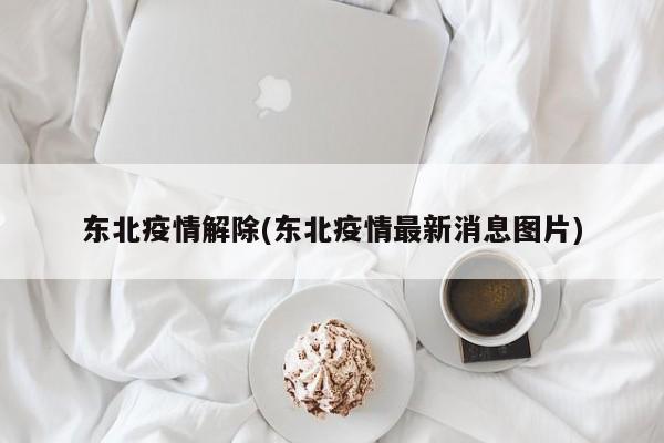 东北疫情解除(东北疫情最新消息图片)