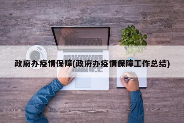 政府办疫情保障(政府办疫情保障工作总结)